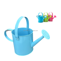 Arrosoir de jardin moderne en métal avec revêtement coloré de 0,7 L, pulvérisateur d'eau avec 3 outils de jardinage