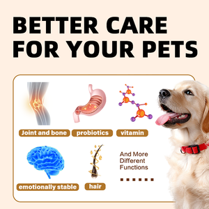 Formule <span class=keywords><strong>vétérinaire</strong></span> OEM ODM, soin digestif liquide pour animaux de compagnie, gouttes pour les vomissements brusques, la diarrhée et la perte d'appétit chez les animaux de compagnie - Product Image 6