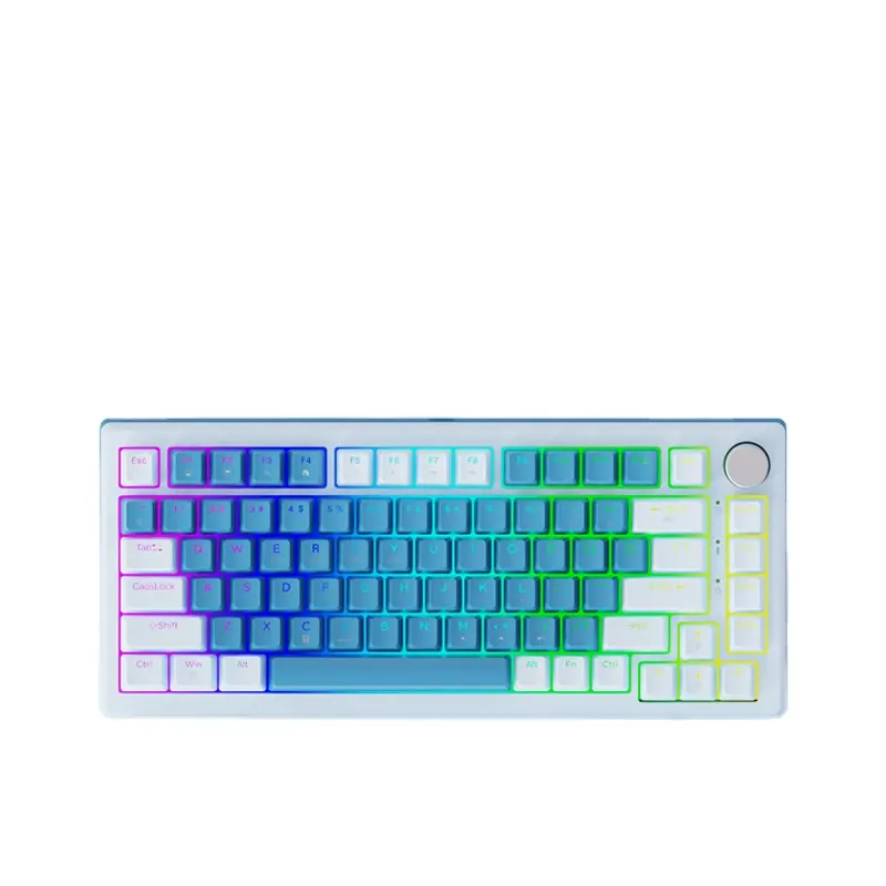 FG75 Customization Mechanicai keyboard FD portable Mechanical Gaming Keyboard LED Backlit Compact 82 Keys for Windows Laptop