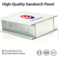 Panneau sandwich en mousse EPS pour entrepôt frigorifique industriel, panneau mural isolé en polystyrène, isolation thermique légère, 50 mm, ignifuge B1