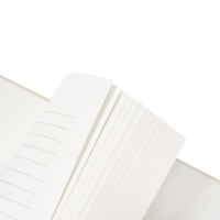 Diario Personalizado de Mindfulness y Autocuidado, Diario de Gratitud y Manifestación, Reflexión Espiritual, Agenda Diaria de Lino