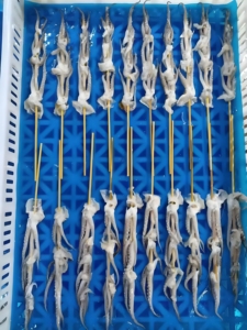 Brochettes <span class=keywords><strong>de</strong></span> Calamars Grillés en Gros, Bâtonnets <span class=keywords><strong>de</strong></span> Tentacules Grillés, Origine Shandong - Product Image 5