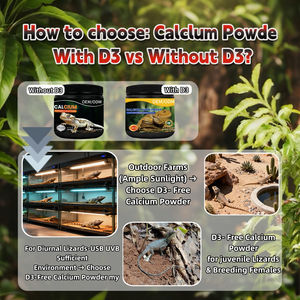 Kalsium Bubuk OEM untuk Leopard Gecko Tanpa D3 Tanpa Fosfor Aksesoris Akuarium Leopard Gecko Tempat Tinggal Reptil - Product Image 6