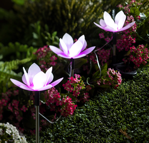 Plastic <span class=keywords><strong>Lotus</strong></span> Solar Wall Light Decoração para Jardim Pátio Deck Path Boa Qualitysolar Led Decorativa Flower Lights - Product Image 3