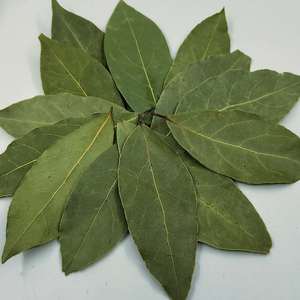 Huaou Vente en gros de feuilles de <span class=keywords><strong>laurier</strong></span>, herbes et épices individuelles, feuilles de <span class=keywords><strong>laurier</strong></span> séchées à bas <span class=keywords><strong>prix</strong></span>, feuilles de <span class=keywords><strong>laurier</strong></span> vertes - Product Image 5