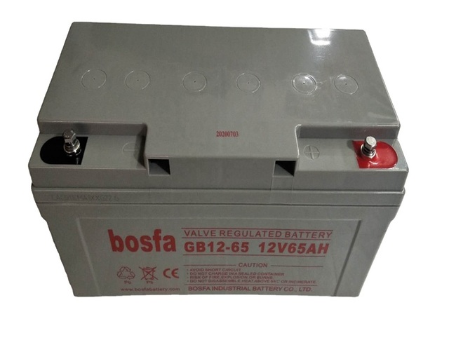 12V 65Ah AGM Sealed Lead Acid Battery with Free Maintenance for Backup Power Power Tools & Boats