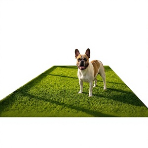 Tapis en gazon artificiel pour animaux TH-PAG-545, tapis de propreté pour chien de 1 pouce d'épaisseur avec trous de drainage, tapis de pelouse synthétique doux - Product Image 1