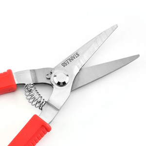 Tijeras de Podar de Acero Inoxidable para Jardín, Corte Recto, para Árboles Frutales, con Mango de Plástico - Product Image 2