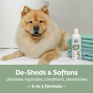 Champú para <span class=keywords><strong>Perros</strong></span> 5 en 1 de Marca Privada, Suavizante con Leche de <span class=keywords><strong>Avena</strong></span>, Aceite de Coco y Aloe - Product Image 6