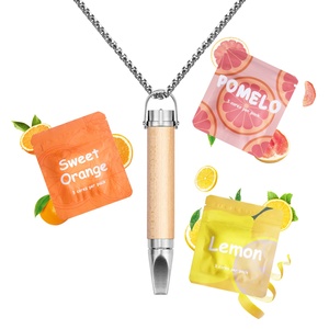 Aromatisiertes Luftgerät Dampflos Nikotinfrei Fumar-Alternative Edelstahlkern Rauchstopp-Stick Rauchloser Inhalator - Product Image 1