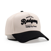 Gorras con Logotipo Bordado en Relieve Personalizado, Gorras de Béisbol Bordadas en Dos Tonos en 3D