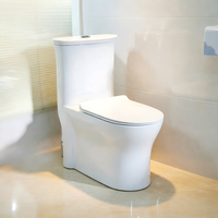 WC en céramique à siphon intégré, design monobloc, puissant jet d'eau, fonctionnement silencieux, économie d'eau, anti-odeurs, fermeture lente, design moderne