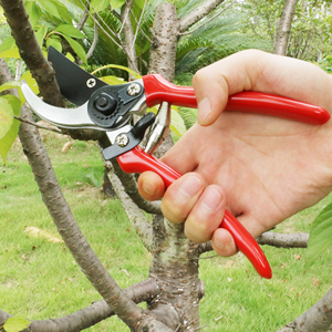 HC034R <span class=keywords><strong>prix</strong></span> usine haute qualité sécateurs de jardin ciseaux classique manuel élagage cisaillement sécateur - Product Image 6