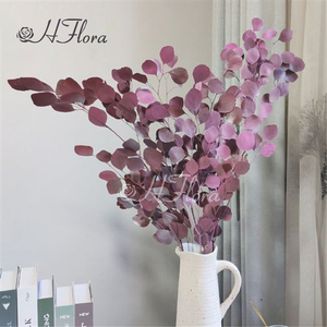 HFloral Tallos de <span class=keywords><strong>Eucalipto</strong></span> Secos y Preservados, 100% Naturales, Hojas de <span class=keywords><strong>Eucalipto</strong></span> 'Silver Dollar', Duraderas, Ecológicas, para Rellenar Jarrones, Decoración del Hogar - Product Image 3