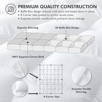 Couette en duvet certifiée RDS OEKO-TEX, 100 % coton, avec système anti-déplacement, légère, toutes saisons, insert de couette de luxe