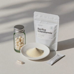 OEM 20B CFU/g polvere probiotica Bacillus Licheniformis protegge la salute gastrointestinale del bestiame per l'aggiunta di mangimi - Product Image 1