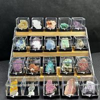 Boîte à Petits Spécimens en Cristal Naturel de Roches Brutes Boîte Minérale en Acrylique