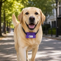 Maßgefertigtes Umweltfreundliches NTAG213 NFC Silikon-Haustier-Tag mit QR-Code zur Hundeidentifikation, Verlustvermeidung und Zugangskontrolle