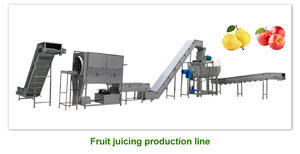 Máquina Industrial de Extração de Suco de Maçã e Abacaxi SUS 304 Extrator de Suco Espiral para Produzir Leite de Coco - Product Image 6