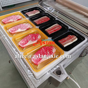Macchina per Confezionamento Sottovuoto Semi-Automatica <span class=keywords><strong>ASLAN</strong></span> MACHINERY ASL-TTBZJ per Alimenti e Tabacco, Ideale per Pollame, Carne di Maiale e Frutti di Mare - Product Image 6