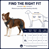 Attelle de genou pour chien FD606 avec stabilisateur à charnière réglable en néoprène et maille de nylon pour l'arthrite canine, les entorses et la récupération postopératoire