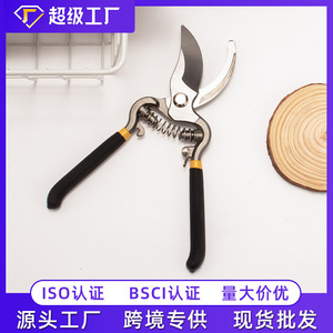 <b>Pruning</b> Shears 206mm Steel Bypass Anti Slip Grip Garden <b>Tool</b> For Flowers Fruit <b>Trees</b> - Product Image 5