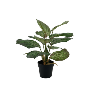 Cây Lụa Nhân Tạo trong nhà ngoài trời-uv kháng sinh thái thân thiện bền nhân tạo cây xanh cho <span class=keywords><strong>home</strong></span> & Office Garden trang trí nội thất - Product Image 3