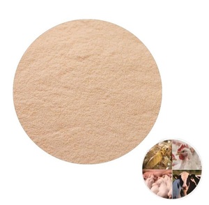 Оптовая продажа высококачественного ферментного препаратоа WFJOYLONG: добавка в корм для животных, фермент целлюлаза в порошке для скота и птицы - Product Image 3