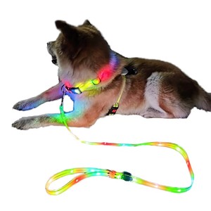 Su geçirmez aydınlatıcı yürüyüş gece Light up köpek tasma yaka seti parlayan Usb şarj edilebilir Led lamba köpek tasma - Product Image 1