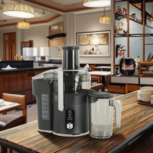 Máy ép trái cây ly tâm thương mại, điều khiển tốc độ biến thiên, chất liệu đạt chuẩn thực phẩm, ép nước trái cây mịn, máy ép chậm - Product Image 3