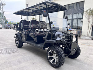 Shininglsv Fabrikant Snelle 7.5 Motor 6 Passagiers Elektrische Club Auto Off-Road Straat Legale Jacht Nutswagen - Product Image 4