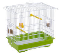 GIUSY cane et petite Cage d'oiseau exotique