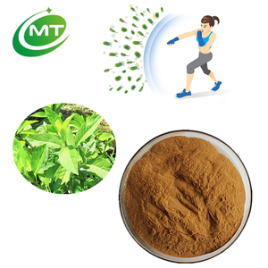 Organic Pure Quality Healthy Longevity Spinach Extract Longevity Greens Leaf Extract Powder Gynura procumbens Extract Powder