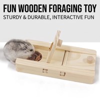 Bunnyhi CSWJ001 Mangeoire en bois pour hamster, plateau à friandises pour hamster ours doré, distributeur de nourriture en bois pour animaux de compagnie