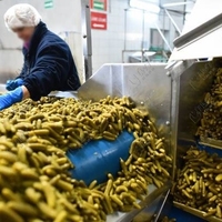 Ligne de transformation automatique des cornichons pour la mise en conserve, incluant mélangeur, friteuse, laveuse, pasteurisateur, nouvelle production de concombres marinés et de fruits
