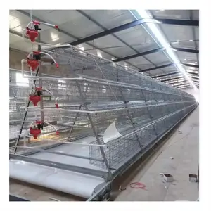 Automatic A type automatic cage with belt chicken egg cage laying hens cage