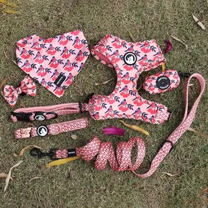 Fornitori di prodotti per animali domestici imbracatura per guinzaglio con collare per cani personalizzato con accessori per porta sacchetti di cacca di Bandana abbinata
