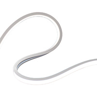 Détails complets sur la lumière LED personnalisée enseigne au néon étanche Tube en silicone LED néon Flex éclairage LED Flex bande de néon