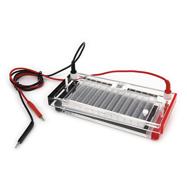 DYCP-44N YCP-44P 200*100mm Fast Gel Electrophoresis Instrument Electrophoresis System Apparatus for Electrophoresis