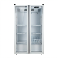 Réfrigérateur commercial pour boissons, 5 étoiles, à économie d'énergie, vertical, à température unique, avec porte vitrée, 300L, 2-8°C