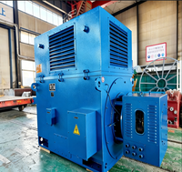 Moteur asynchrone triphasé à rotor bobiné 3kV/6kV/10kV pour broyeur à billes