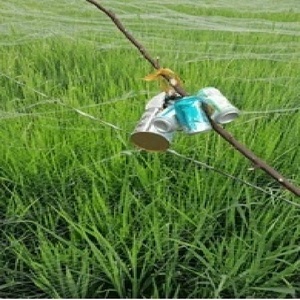 Tùy chỉnh cắt HDPE + UV ổn định chống chim lưới cho lúa gạo bảo vệ cuộn định dạng thu hoạch agrotextile thương hiệu tùy chỉnh kích thước - Product Image 6