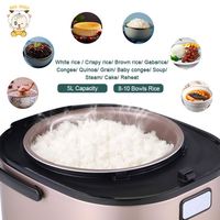 Appareils de cuisson automatiques pour la cuisine à domicile Cuisinière électrique Cuiseur à riz multifonction 5L