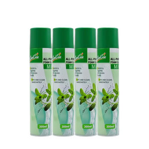 <span class=keywords><strong>Aerosol</strong></span> Refrescante con Aroma a <span class=keywords><strong>Menta</strong></span>, Limpiador de Espuma en <span class=keywords><strong>Aerosol</strong></span> Multiusos de Acero Inoxidable, Ambientador para Automóvil - Product Image 1