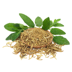 ديدان الخبز المجففة بالجملة، ديدان الوجبة الصفراء المجففة، طعام الحيوانات الأليفة، طعام الطيور، وجبات خفيفة للهامستر، طعام أسماك الزينة والسلاحف - Product Image 1