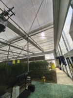 Refroidissement par brumisation pour plantes d'été, rideau de brumisation ventilé, température et humidité optimales