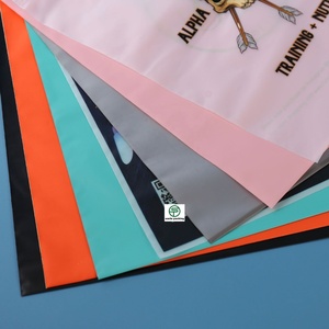 Custom MOQ 1000pcs Biodegradable Frosted PE Ziplock Clothing Underwear Underpants Socks Bag with Gravure Printing - Product Image 2