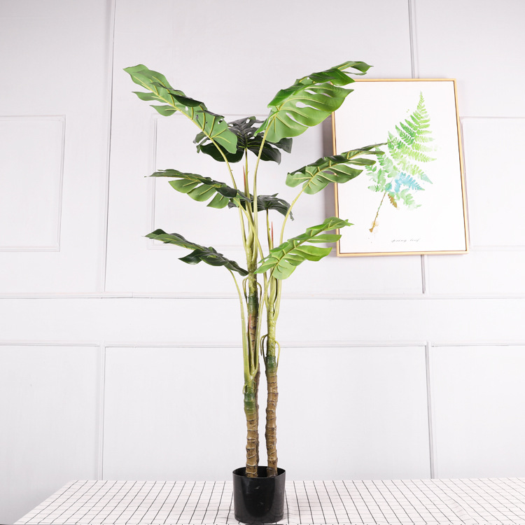 150CM 3 tiges 8 feuilles carapace de tortue C