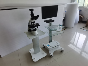 Analisa Kualitas Sperma Otomatis dengan Visualisasi Data Cerdas untuk Diagnosis Infertilitas Pria - Product Image 3