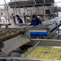 Complete productie-installatie voor het verwerken van frieten, plantain- en zoete aardappelchips